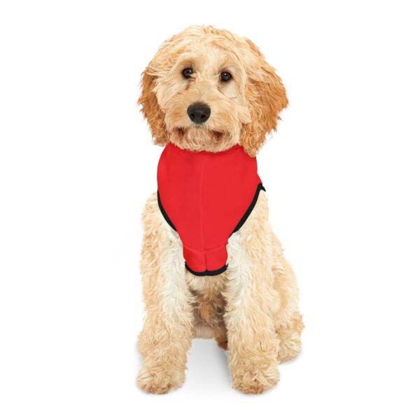 "Zoo Crew Pet Hoodie – Cozy Fun for Every Family Member!" - Image 4